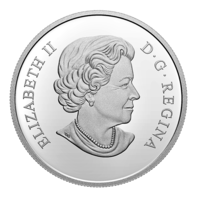 Buburuza monedă din argint Proof
