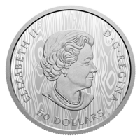 Puma monedă de argint Proof