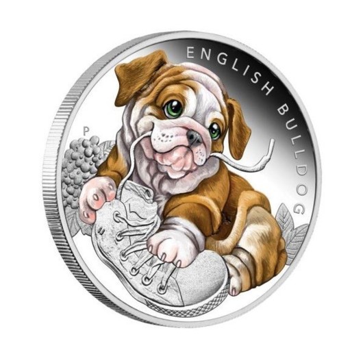 English bulldog puppy monedă din argint proof
