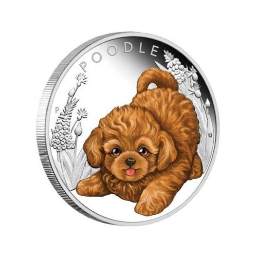 Poodle puppy monedă din argint proof