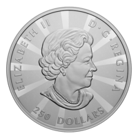 1 KG SILVER “MULTIFACETED MAPLES” 2023