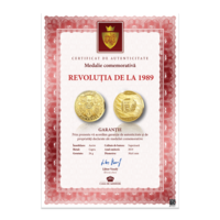 Istoria României: Revoluții și răscoale