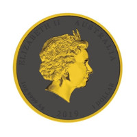 Anul porcului 2019 monedă din argint 1 oz înnobilată cu 6 metale prețioase
