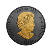 Calul canadian 2020 monedă din argint